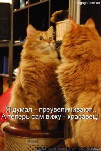 1, 6 и 19 самые классные.