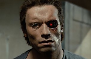 У обезьян мало опыта, а следовало-бы насторожиться.