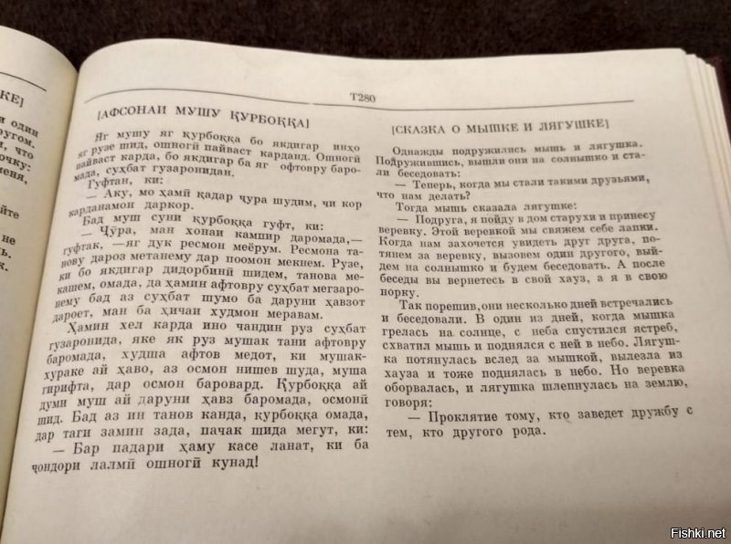 Недавно ко мне в руки попала книга с таджикскими народными сказками, ребенку думала на ночь читать для разнообразия, но, пролистав и прочитав несколько, стало понятно, что эта книга точно не вариант. Практически в каждой сказке кто-то умирает, при чем чаще всего умирает не своей смертью, а кто-то кого-то убивает или сжирает. Да, в русских сказках тоже смертей полно, но не в таких количествах. Так к чему я все это: прочитайте ЭТУ сказку, которая ответит на все вопросы о дружбе народов. 
Также не могу не отметить еще одну сказку, после которой я, взрослый человек, долго не могла прийти в себя. В голове постоянно крутилось «что за 3,1415здец я только что прочитала и как все это забыть?».
