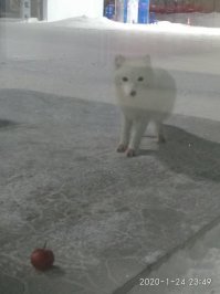 Спокойной ночи!