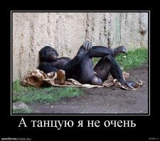 Замаскированные животные-роботы в дикой природе