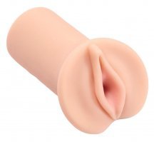 На пляже США прохожие обнаружили живое существо, похожее на мозг