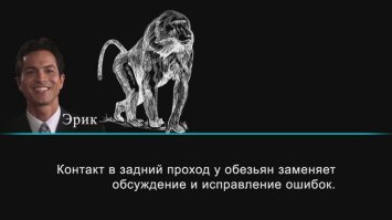 Оказывается, Покемониха всем своим глупостям училась у обезъян.