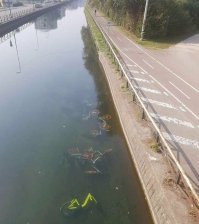 Семья потомственных камикадзе