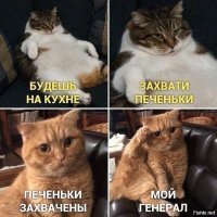 Прикольные и смешные картинки