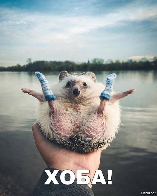Удачной недели