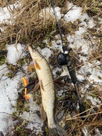 Кто сказал что не клюёт?