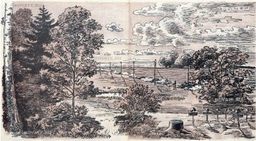 Какие к черту опята, какая кепка на голове? Графика такая, что я колонну разглядел только когда ответ прочитал.