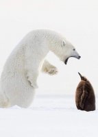 " В отпуск пойдёшь зимой ! " )