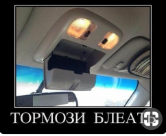 Автомобиль столкнулся с волами, запряжёнными в повозку