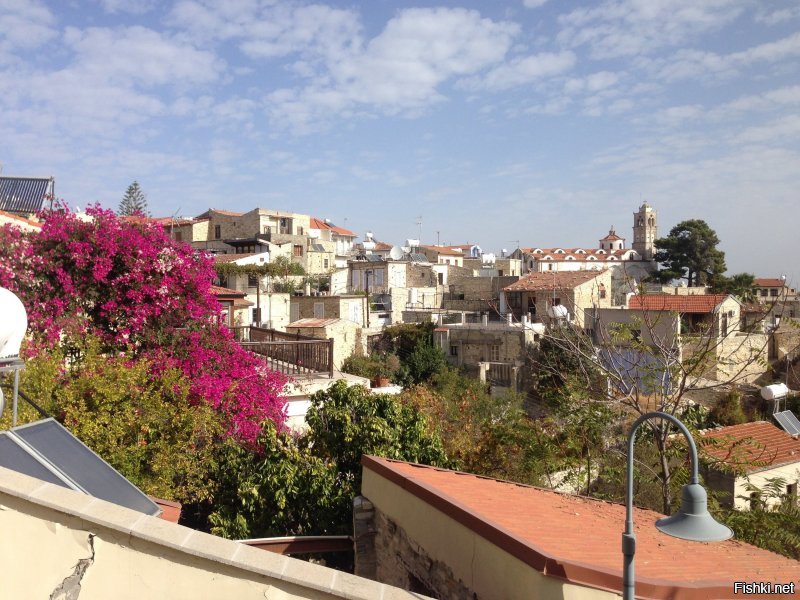 Мда уж, если человек глуп, то глуп во всем. Дамочка, кому вы нужны хвастать-то? Я с барышнями письками не мерюсь, прости. Ну раз ты прям настаиваешь, подарю тебе пару фоток за 18/19годы. В марте с Варадеро еще скину. Только не плачь, что я не оправдал твои ожидания, что твои фантазии про меня оказались только твоими фантазиями, а я оказался честен.
Ага-ага, мне, женившемуся на молодой расскажи про фотки. Вообще-то все девочки фоткают все свои развлечения и первый, и сто первый раз. Хотя, если ты старуха за 40, то я согласен. Муж не бьет, что ты не готовишь и приходиться жрать вне дома?
А вообще это дно, рассказывать, как трясешь с каждого родного и друга бабло, а потом хвастаешь, как его тратишь
Еще раз, мериться чем-то и соревноваться я буду с равными. 
А до тебя все это время пытались донести простую цель: если ты меркантильная бабища, которая даже с родственников дерет деньги, то это надо скрывать, а не кичиться на весь сайт. И, если есть люди, которым для других ничего не жалко, в отличии от тебя, то нехер их осуждать.
Но ты этого не поняла и не поймешь, как я уже доказал, и не один, и не раз.
И весь твой бред про меня - это убогая дичь. Я, милочка, анонимно сижу по той причине, что я комментатор в разделе "анти" и мои политические взгляды такие, что за них могут не просто найти, а конкретно... Но да тебя это не касается.
Какой бред, делать анонимный акк для самоутверждения перед какой-то меркантильной, неграмотной, глупой бабой, которая в сотый раз не может прочитать элементарную мысль? Хотя, я уже привык не удивляться твоей больной фантазии.
Если ты считаешь, что мне нужно за счет тебя реализоваться или унизить, то это очень глупо. Смысл? Жизнь это сделала сама: мне легко помогать бесплатно людям, т.к. я занимаюсь тем, что мне нравиться, я отдыхаю за своей работой, и у меня есть и время, и силы, и деньги на помощь. А для тебя твоя работа - тяжкий труд, усталость, потраченные силы и время, главная ценность - монета, и сделать ты с этим ничего не можешь, только фантазировать, что другим хуже. Может судьба заставляет пахать, потому что что-то не так делаешь? Не?