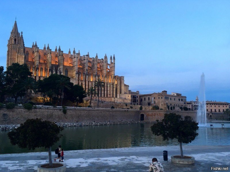 Мда уж, если человек глуп, то глуп во всем. Дамочка, кому вы нужны хвастать-то? Я с барышнями письками не мерюсь, прости. Ну раз ты прям настаиваешь, подарю тебе пару фоток за 18/19годы. В марте с Варадеро еще скину. Только не плачь, что я не оправдал твои ожидания, что твои фантазии про меня оказались только твоими фантазиями, а я оказался честен.
Ага-ага, мне, женившемуся на молодой расскажи про фотки. Вообще-то все девочки фоткают все свои развлечения и первый, и сто первый раз. Хотя, если ты старуха за 40, то я согласен. Муж не бьет, что ты не готовишь и приходиться жрать вне дома?
А вообще это дно, рассказывать, как трясешь с каждого родного и друга бабло, а потом хвастаешь, как его тратишь
Еще раз, мериться чем-то и соревноваться я буду с равными. 
А до тебя все это время пытались донести простую цель: если ты меркантильная бабища, которая даже с родственников дерет деньги, то это надо скрывать, а не кичиться на весь сайт. И, если есть люди, которым для других ничего не жалко, в отличии от тебя, то нехер их осуждать.
Но ты этого не поняла и не поймешь, как я уже доказал, и не один, и не раз.
И весь твой бред про меня - это убогая дичь. Я, милочка, анонимно сижу по той причине, что я комментатор в разделе "анти" и мои политические взгляды такие, что за них могут не просто найти, а конкретно... Но да тебя это не касается.
Какой бред, делать анонимный акк для самоутверждения перед какой-то меркантильной, неграмотной, глупой бабой, которая в сотый раз не может прочитать элементарную мысль? Хотя, я уже привык не удивляться твоей больной фантазии.
Если ты считаешь, что мне нужно за счет тебя реализоваться или унизить, то это очень глупо. Смысл? Жизнь это сделала сама: мне легко помогать бесплатно людям, т.к. я занимаюсь тем, что мне нравиться, я отдыхаю за своей работой, и у меня есть и время, и силы, и деньги на помощь. А для тебя твоя работа - тяжкий труд, усталость, потраченные силы и время, главная ценность - монета, и сделать ты с этим ничего не можешь, только фантазировать, что другим хуже. Может судьба заставляет пахать, потому что что-то не так делаешь? Не?