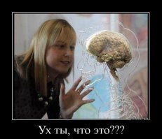 Какие виды секса мы переняли у животных?