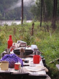 Бурундук и интересные факты о нем