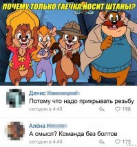 Бурундук и интересные факты о нем