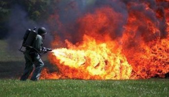 Откройте, полиция моды! Худшие наряды "Грэмми"