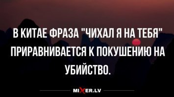 Прикольные и смешные картинки