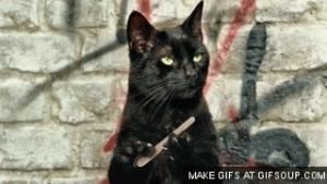 Прикольные и смешные картинки