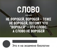 Прикольные и смешные картинки
