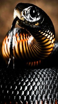 "Красота-то какая!"