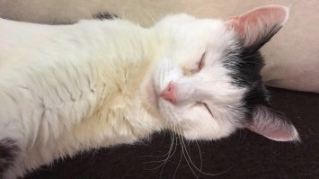 Моя тоже вредная