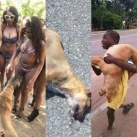 Грустная история.