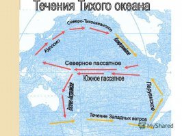 Что за хрень я только что прочитал.. 
Робертсоны решили грести к центру Тихого океана, запастись там питьевой водой и потом - назад к континентальной Америке, оседлав одно из течений.
---
Невозможно плыть по центральным течениям тихого океана к Америке
---
Ловили руками черепах и летучих рыб... попробуйте поймате руками черепаху - охренеете, а если нарваться на черную черепаху, то еще и отгребете. Летучую рыбу можно поймать только ночью и только если есть источник света, который может ее приманить, но его не было. Иначе только если она случайно сама попадет в лодку...