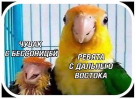 Я Сейчас на Камчатке. И у меня обратное мнение.