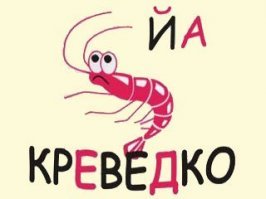 Свези с начала аналища, вчерти из нутрии, соровно  лешон кунилинкуса