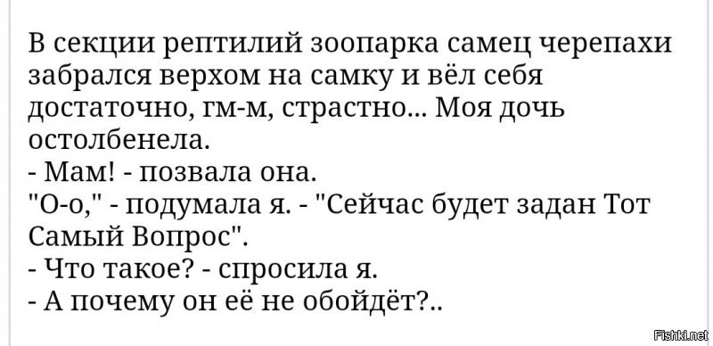 нетудаа