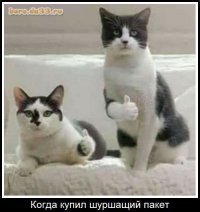 Прикольные и смешные картинки