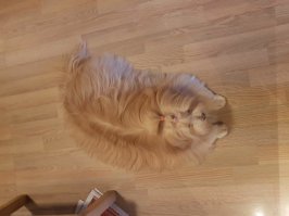 Ладно, красиво. Зато у меня хороший коврик.