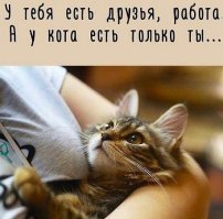 Прикольные и смешные картинки