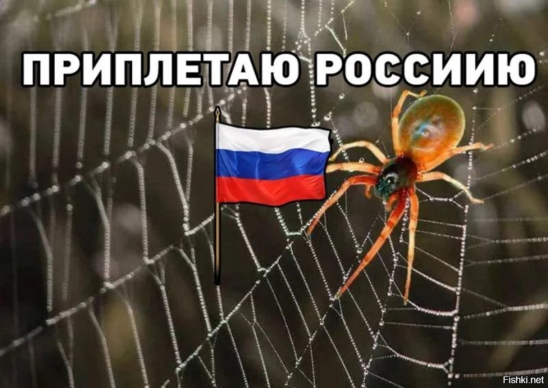 До чего дошёл прогресс