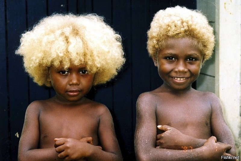 К слову, на Меланезии, островах в Тихом океане, живут темнокожие люди со светлыми волосами (не с белыми конечно, но все равно светлыми).