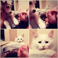 Прикольные и смешные картинки