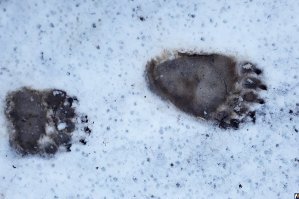 Ну теперь можно не бояться!