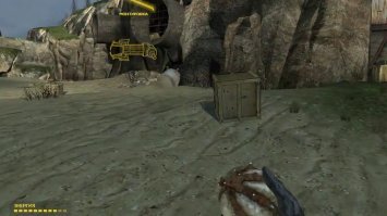 феромоны они такие