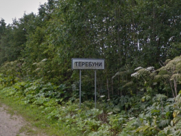 Юморной у нас народ