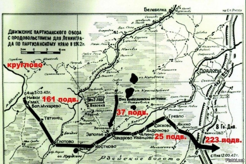 Чтобы не было недоразумений. Псковский район в Войну входил в Ленинградскую область, поэтому партизанские соединения назывались 1-я особая Ленинградская бригада, 2-я и 3-я Ленинградские бригады. Особая - потому что НКВД, коммунисты из партийного актива и кадровые военнослужащие. К 1944 году их числилось до 30, не все бригады, правда, были достаточно боеспособны. Михаил Трахман в основном воевал в 2-й и 3-й бригадах. Обозов для ленинградцев было два или три, смотря как считать. Но не надо думать, что они пробились в сам город. Партизаны провели их болотами в Осташков, оттуда по железной дороге доставили в Тихвин, и уже оттуда полуторками по Дороге Жизни перевезли в Ленинград.