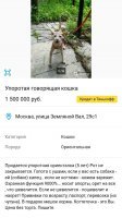 Два сапога пара