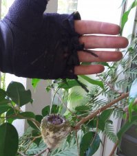 Комментарии в разных группах к постам