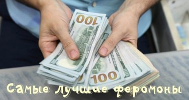 Сила феромонов: почему самки мышей сходят с ума от запаха самцов?