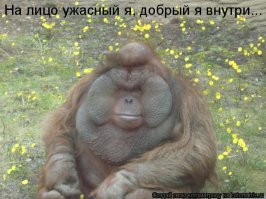 Парень сшил выпускное платье подруге, у которой не было денег на "платье мечты"