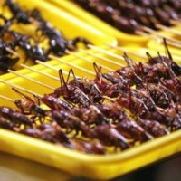 В Африке голод
В Африке нашествие саранчи
Саранча съедобна
----------------
Вообще не вижу проблем!!!