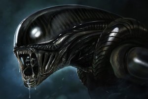 Комментарии в разных группах к постам