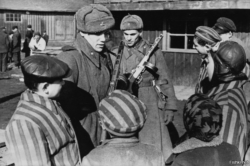 Ну  в русскоязычной версии, все на месте! Во всяком случае ПОКА!
"Лагерь освобождён 27 января 1945 года войсками 59-й и 60-й армий 1-го Украинского фронта под командованием Маршала Советского Союза И. С. Конева во взаимодействии с войсками 38-й армии 4-го Украинского фронта под командованием генерал-полковника И. Е. Петрова в ходе Висло-Одерской операции. 
Непосредственное участие в освобождении концлагеря принимали части 106-го стрелкового корпуса 60-й армии и 115-го стрелкового корпуса 59-й армии 1-го Украинского фронта. 
 

Советские солдаты общаются с детьми, освобождёнными из концлагеря
Два восточных филиала Аушвица   Моновиц и Зарац   были освобождены бойцами 100-й и 322-й стрелковых дивизий 106-го стрелкового корпуса. 
Около 3 часов дня 27 января 1945 года части 100-й стрелковой дивизии (454-й стрелковый полк) (командир генерал-майор Ф. М. Красавин) 1-го Украинского фронта освободили Аушвиц. В тот же день ещё один филиал Освенцима   Явожно был освобождён бойцами 286-й стрелковой дивизии (командир генерал-майор М. Д. Гришин) 59-й армии (командир генерал-майор Н. П. Ковальчук) 1-го Украинского фронта. 
28 января части 107-й стрелковой дивизии (командир   Герой Советского Союза полковник В. Я. Петренко) освободили Биркенау. 
По разным подсчётам, в боях за освобождение Аушвица-Биркенау погибли от 234 до 350 советских солдат и офицеров[31][32][33]. 
27 января 2015 года Министерство обороны России обнародовало архивные документы об освобождении Красной Армией узников Освенцима[34][35]. "