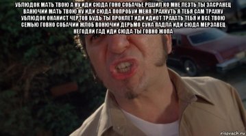 А вы слышали, как ругается коала?