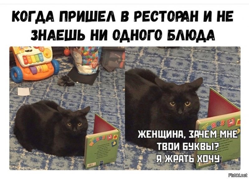 Солянка от 31.01.2020