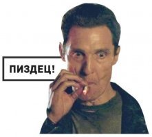 владельцы собак спешат купить маски для своих кошек